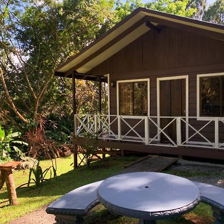 Hospedaje La Naciente Turrialba Eksteriør billede