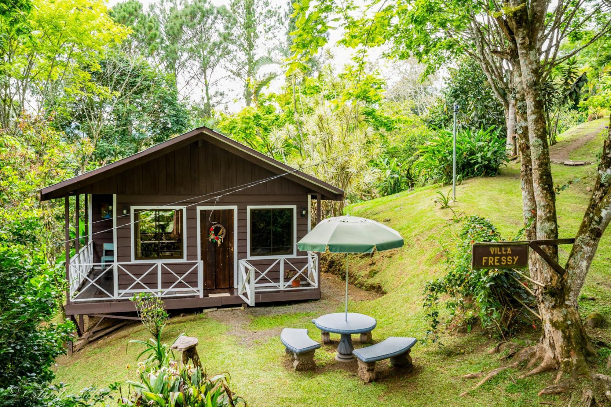 Hospedaje La Naciente Turrialba Eksteriør billede