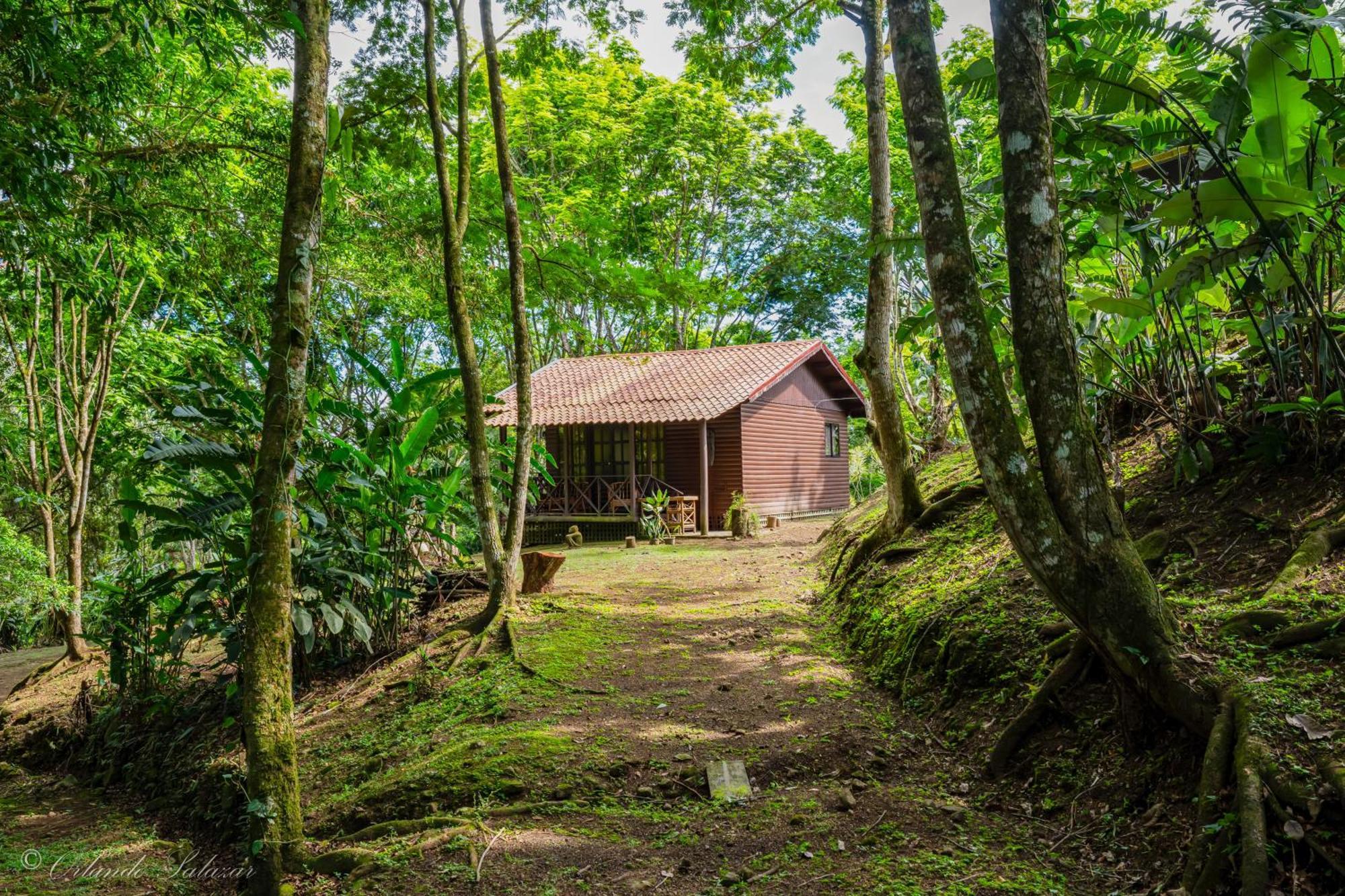 Hospedaje La Naciente Turrialba Eksteriør billede