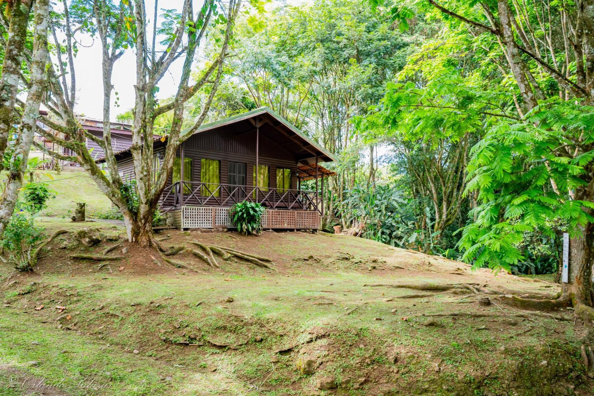 Hospedaje La Naciente Turrialba Eksteriør billede