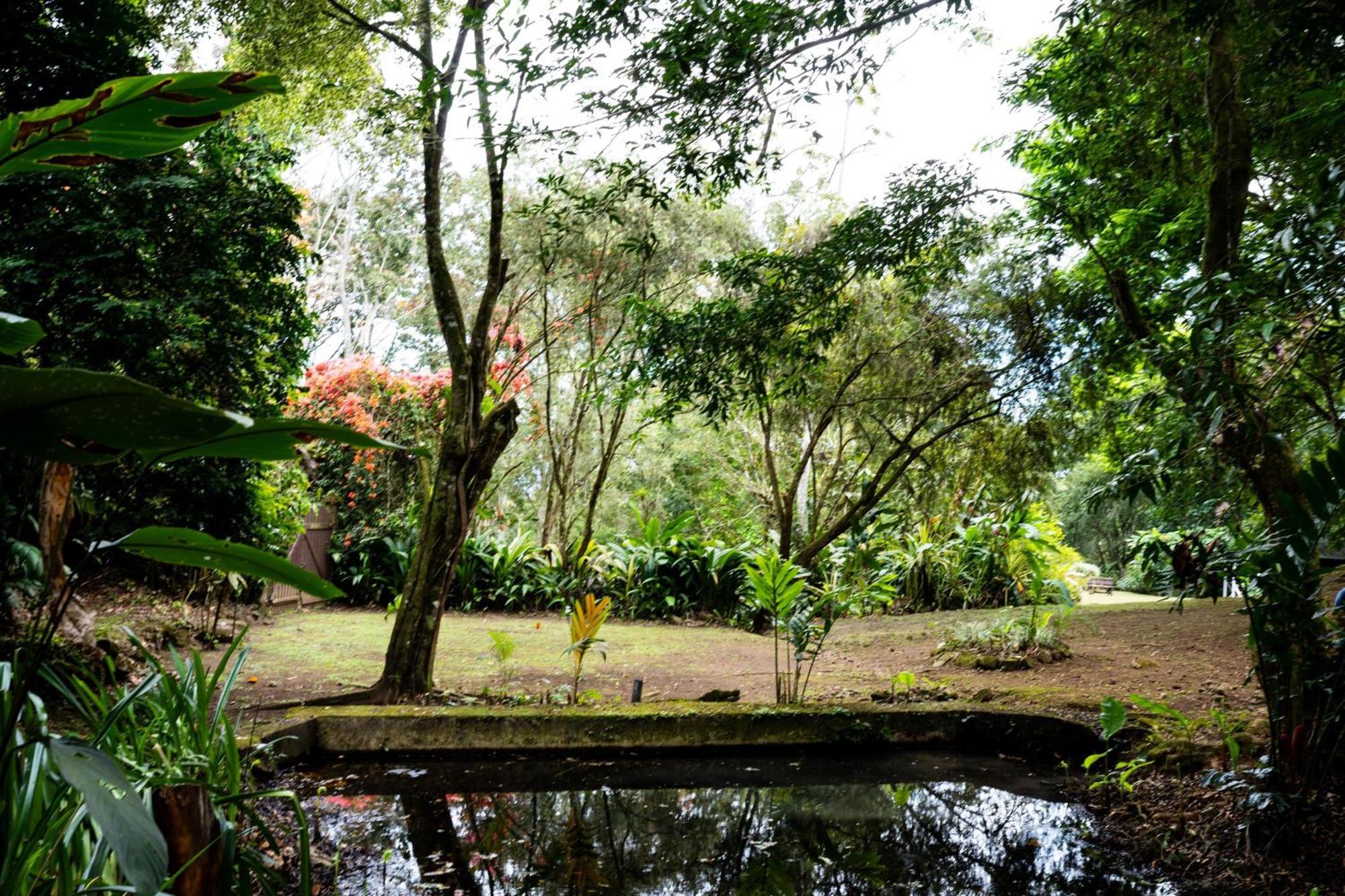 Hospedaje La Naciente Turrialba Eksteriør billede