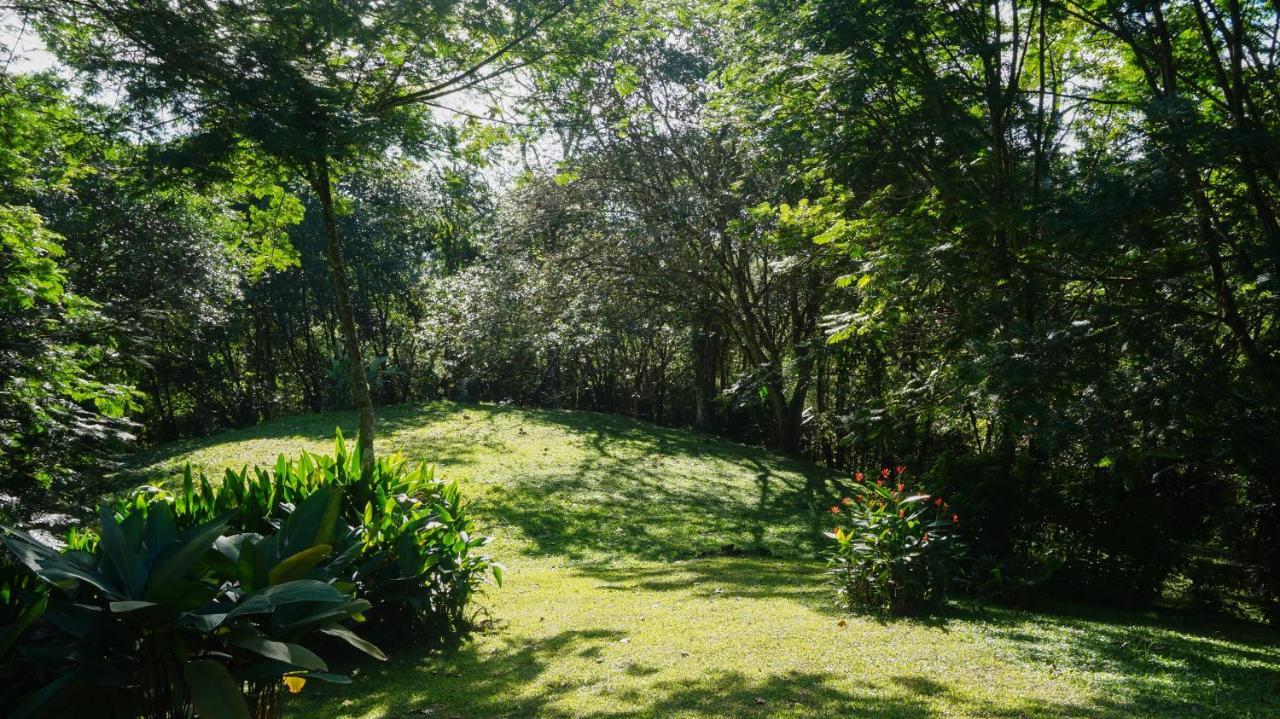 Hospedaje La Naciente Turrialba Eksteriør billede